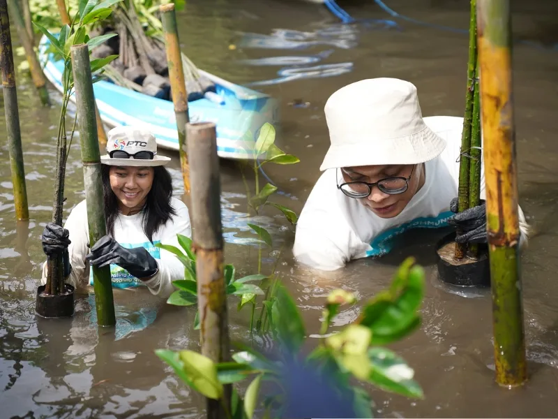 PTC Peduli Lingkungan – Kurangi Dampak Perubahan Iklim dengan Penanaman Mangrove di Bali